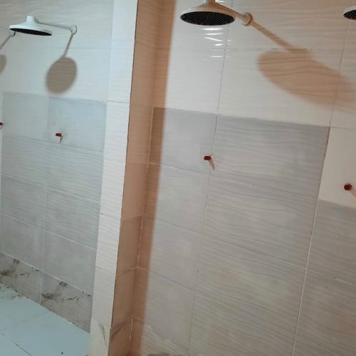 2517045928265129418_45029328982_3